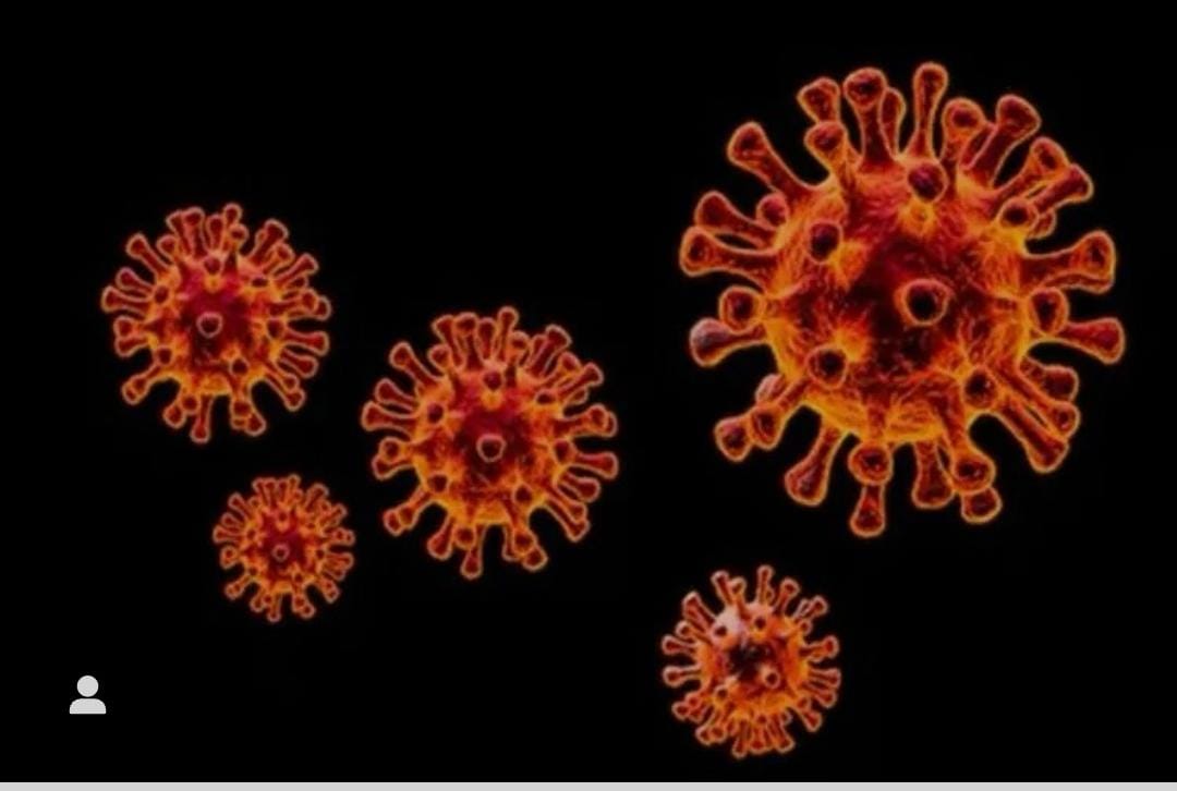 NOVO CORONAVÍRUS ” COM POTENCIAL PANDÊMICO” É DESCOBERTO NA CHINA. Afirmam Pesquisadores.